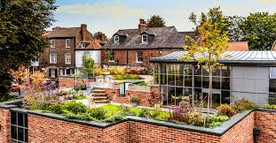 ملاذ حديقة السطح